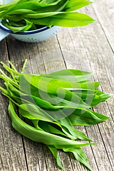 Ramson or wild garlic leaves photo