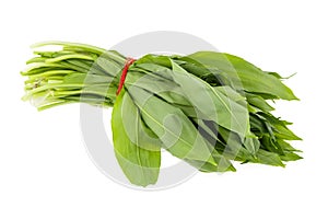 Ramsons (wild garlic) leaves photo