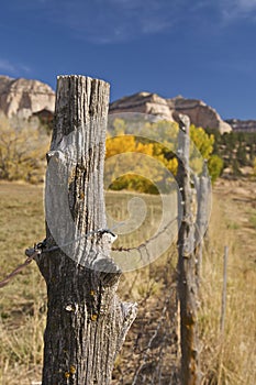 Ranch Fence