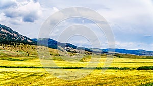 Ranch Land in the Nicola Valley in British Columbia, Canada