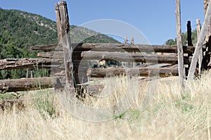 Ranch life - old corral.