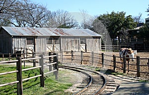 Ranch by the Tracks