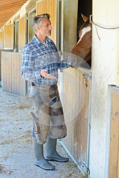 rancher with few horses