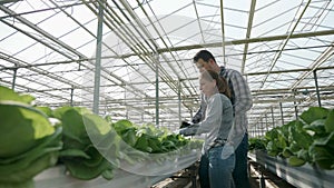 Rancher gardener man discussing vegetable production