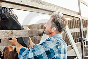 Rancher in shirt touching brown horse