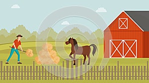 Rancher working in farmyard vector illustration. Young farmer feeding horse with hay cartoon character. Livestock