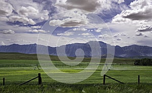 Ranching farm along the Eastern slopes of the Canadian Rocky Mountains and future coal mining development