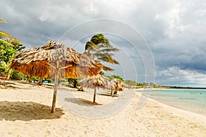 Rancho Luna sandy beach with palms and straw umbrellas on the shore, Cienfuegos, Cuba photo