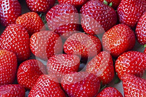 random arrangement of strawberries creates a visually appealing rich texture
