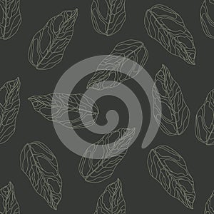 Random dark outline leaf silhouettes seamless pattern. Grey contoured botanic elements on black pale background