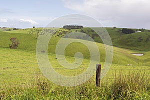 Random Farmland in the Fleurieu Peninsula, South Australia