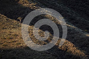 Random landscape abstract.