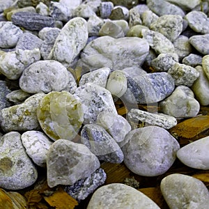 Random ornamental pebbles - ochre variant