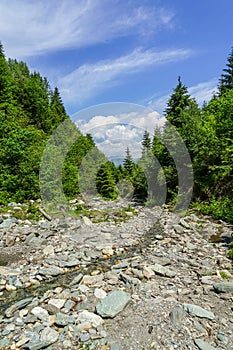 Stone road in Rodna mountain photo