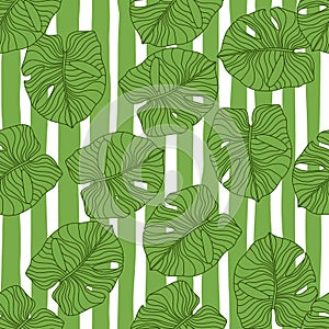 Random seamless botanic pattern with green outline monstera leaves silhouettes. White and green striped background