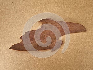 Weathered treebark from a large tree