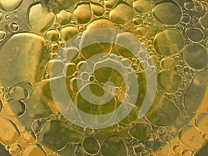 Random shapes caused by vegetable oil being mixed with water