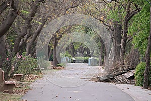 Random Walkway at Delhi Zoological park surrounded by trees