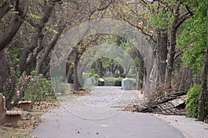 Random Walkway at Delhi Zoological park surrounded by trees photo