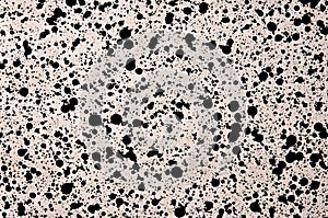 Random watercolor speckle dots. Brush painted stains. Black ink spots on white background