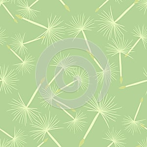 Random white dandelion elements seamless pattern in hand drawn style. Light green background