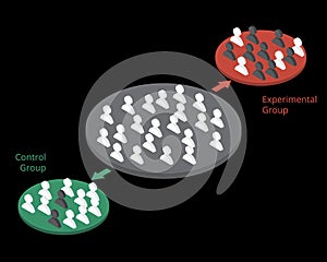 Randomized control group and experimental group in experimentation vector