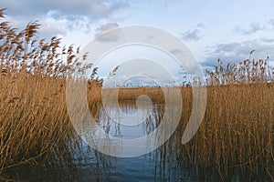 The Randu Meadows nature reserve by the Baltic sea near the Latvia and Estonia border. Bent grass by water, calm landscape