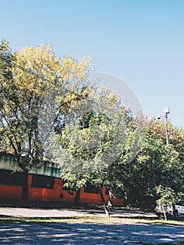 Ranelagh is a great way to get a smile