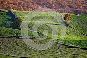 A range of fields in autumn