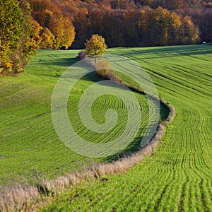 A range of fields in autumn