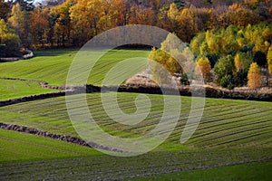 A range of fields in autumn