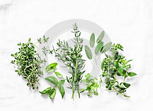 Range of fragrant garden herbs on a light background-tarragon, thyme, oregano, basil, sage, mint. Healthy ingredients, top view. C