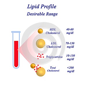 range of Lipid profile