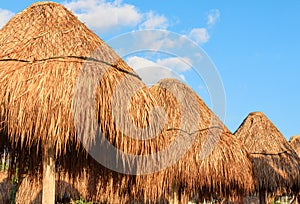 Range of straw umbrellas / bamboo parasols against blue sky. Closeup. Riviera Maya, Mexico.