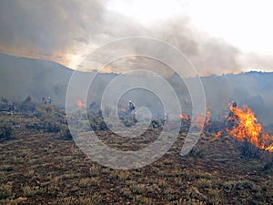 Rangeland Fire