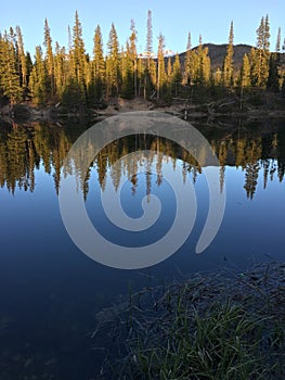 A caccia laghi condizione foresta condizione 