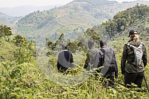 Ranger and tourist in Bwindi National Park, mountain gorilla trekking. Woman walking behind Ranger on trekking path.