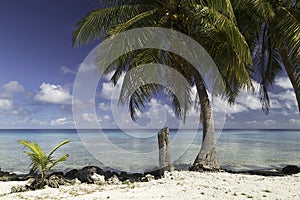 Rangiroa atoll and lagoon near tiputa pass - french polynesia photo