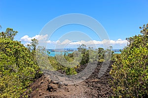 Rangitoto island, Auckland, New Zealand