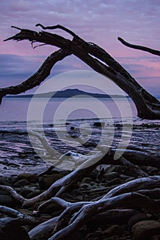 Rangitoto Island at sunset as seen from Auckland`s North Shore