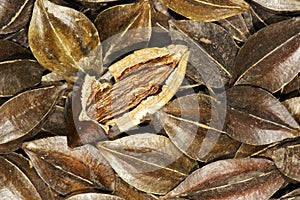 Rangoon creeper fruits