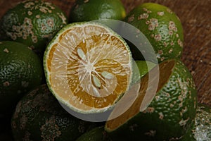 Rangpur lime, or limao cravo in Portuguese