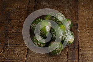 Rangpur lime, or limao cravo in Portuguese photo