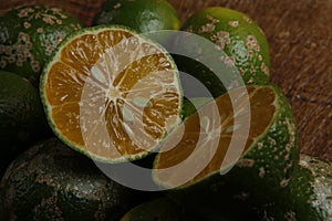 Rangpur lime, or limao cravo in Portuguese photo