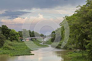 Rangsit Canal with hyacinth