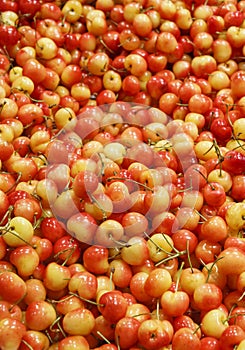 Ranier Cherries in a Fruit Market