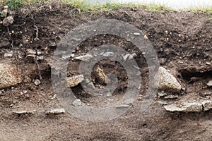 Ranker soil with large granite fragments