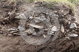 Ranker soil with large granite fragments