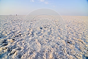 Rann of Kutch