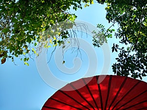 Ranna red umbrella and green tree and blue sky.